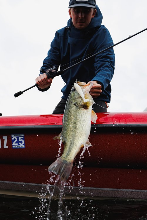 Berkley PowerBait® CullShad Fishing Bait, Albino, 6 in, Soft Swimbait, Equipped with Fusion19TM Hook, Smart Weighting System