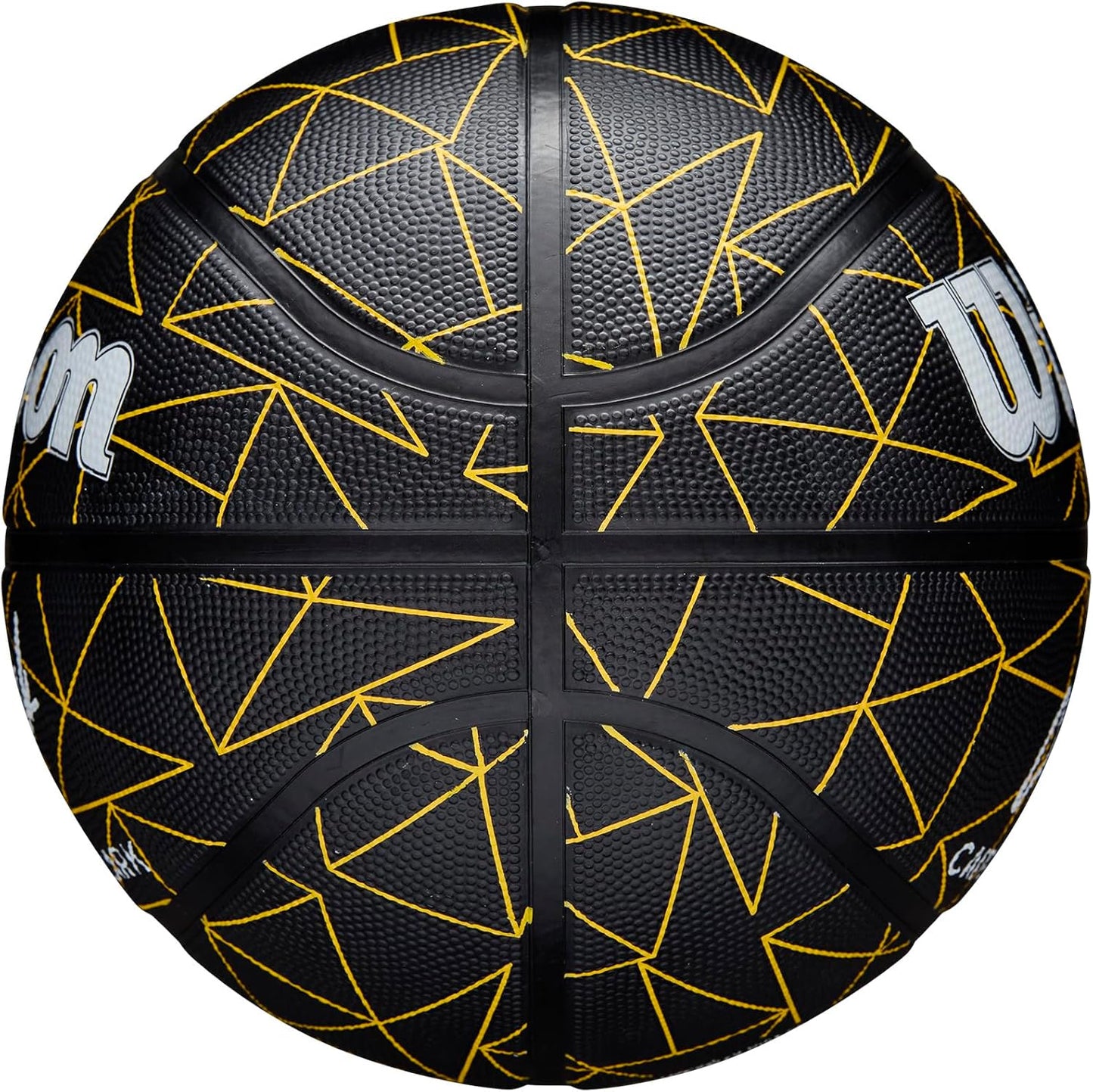 WILSON Caitlin Clark Basketballs - High-Performance Design for Ultimate Control | Official Size
