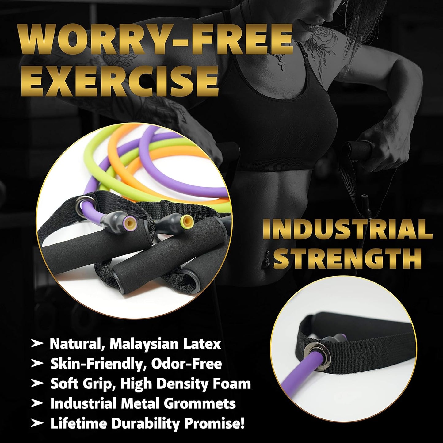 Skiennix Resistance Bands Set - Versatile Fitness Bands for Strength Training & Physical Therapy | All Levels