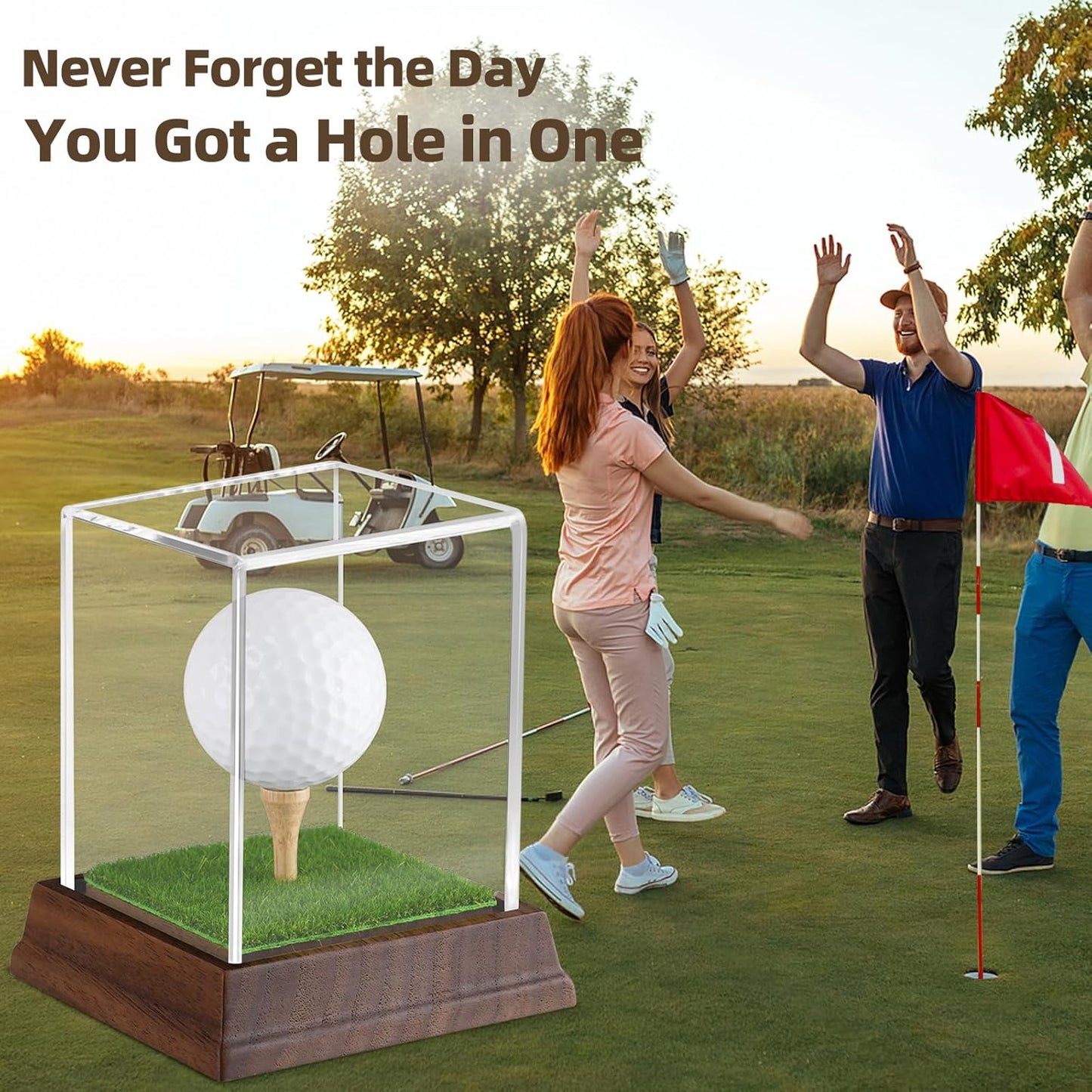 Wanult Golf Ball Display Case - Premium Acrylic Holder with Wood Base & Lifelike Turf | Perfect Gift for Golf Enthusiasts