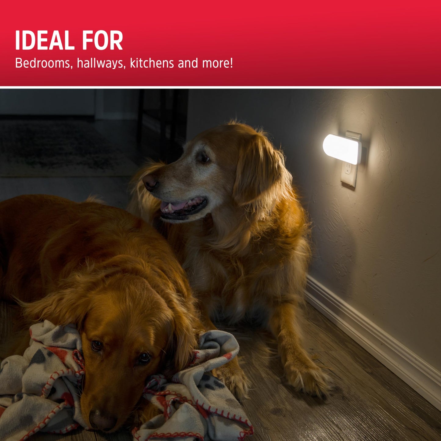 Energizer Ultrabrite LED Light Bar, 100 Lumens, 1 Pack, High/Low/Off Switch, Plug-in, Night Light, Ideal for Dark Spaces, Bedroom, Bathroom, Kitchen, Hallway, Basement White, 81573