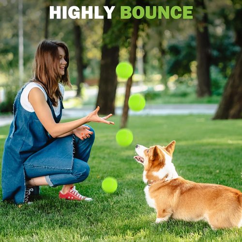 FURWEY Pressureless Tennis Balls - Bulk Pack of 12/24/36/80 with Mesh Bag for Easy Transport | Ideal for Beginners & Dogs