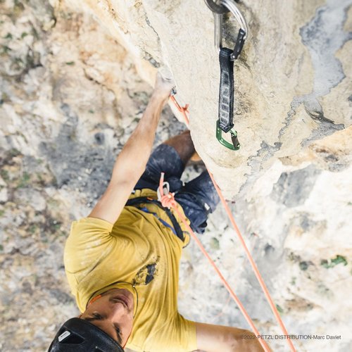 Petzl Spirit Bent Gate Carabiner 6-Pack - Color Coded Rack Pack