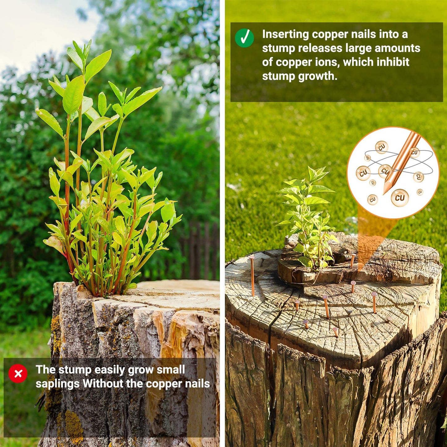 UCandy Pack 10 Copper Nails for Killing Trees Stump Root, 3.14" Copper Nails with Drill, Stump Removal Spikes Hardware Nails for Trees