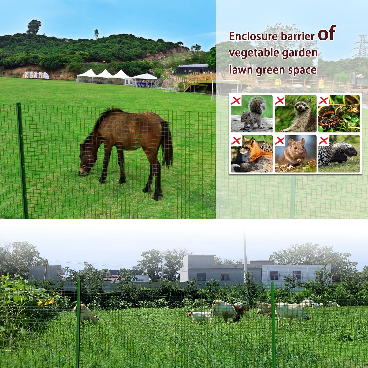 Wirewonders Hardware Cloth 1/2inx 36in x 100ft Chicken Wire, Green Garden Fence, PVC Coated Metal Welded Wire Mesh for Preventing Snakes, Raccoons, Foxes, Poultry Netting