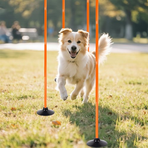 4 Pack Soccer Agility Training Poles, 5 FT Adjustable Speed and Agility Training Equipment for Football/Basketball/ Dog Practice, Bending Poles for Horses with Rubber Bases and Carry Bag (Orange)