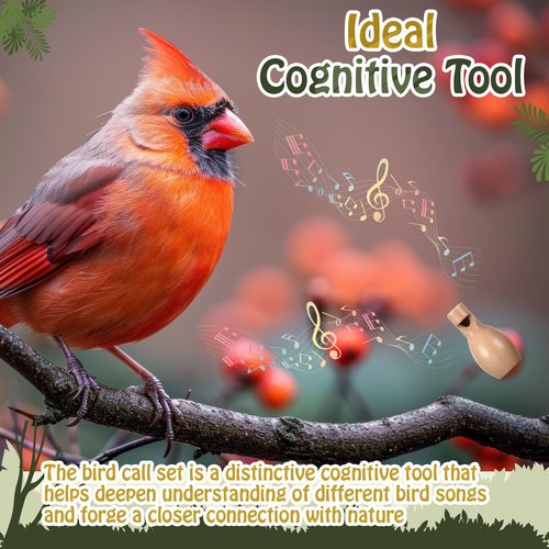 Shappy 9 Pcs Wooden Bird Call Set Handmade Bird Call Gifts for Birdwatchers, Nature Lovers, Outdoor Exploration Activities Camping Trips Realistic Sounding Whistle