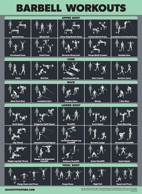 20 Pack - Exercise Poster Set: Dumbbell, Suspension, Battle Rope, Stretching, Bodyweight, Barbell, Yoga, Exercise Ball, Muscular, Kettlebell, Resistance Bands and More [Dark] (LAMINATED, 18” x 24”)