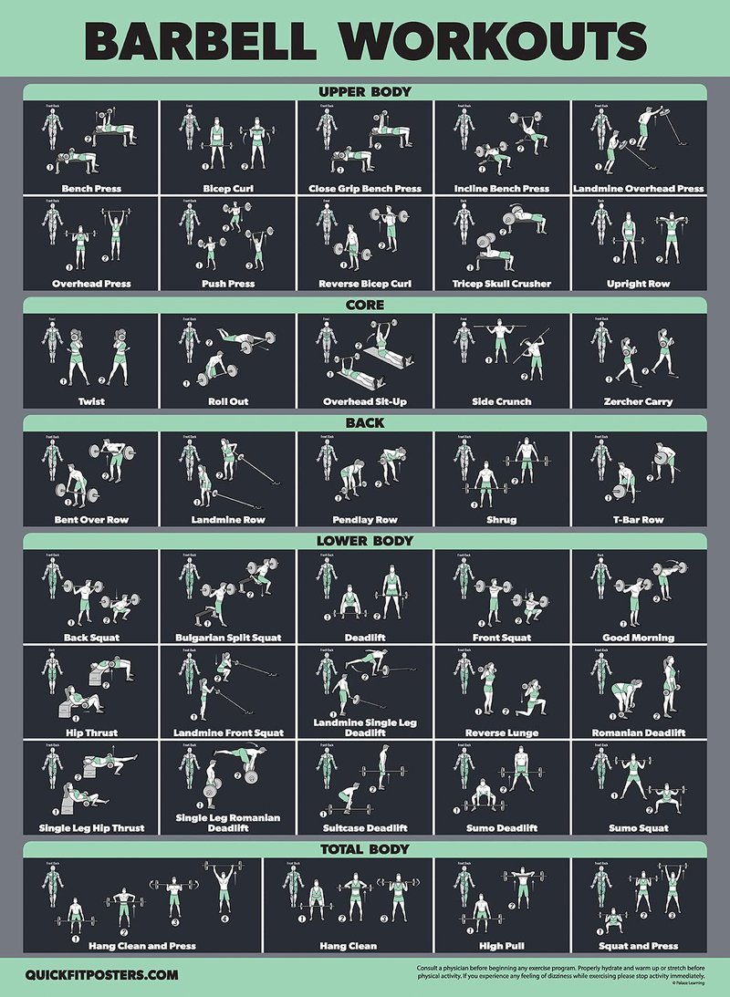 Palace Learning 2 Pack Dumbbell Workouts and Barbell Exercise Poster Set - Laminated 2 Chart Set - Dumbbell Exercise Routine & Barbell Workouts [DARK] (LAMINATED, 18” x 24”)