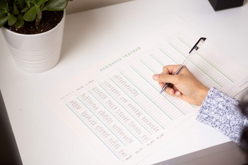 Habit Tracker Progress Poster by Free Period Press - 11”x17” - Yearly Atomic Habits Tracker for Goals and Projects
