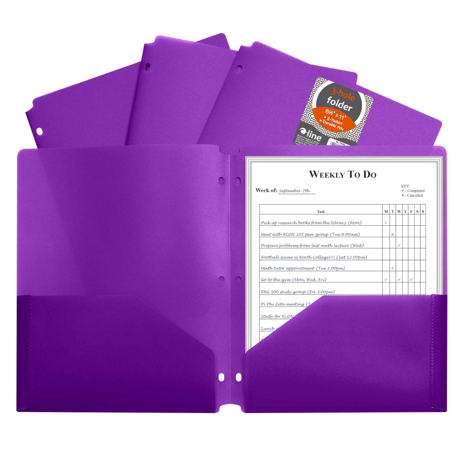 C-Line Two-Pocket Heavyweight Poly Portfolio Folder with Three-Hole Punch, Box of 25, Purple (33939-25)