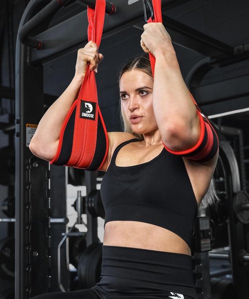 DMoose Fitness Hanging Ab Straps - Soft Padded Exercise Straps for Core Strength Training | Includes 2 Steel Carabiners