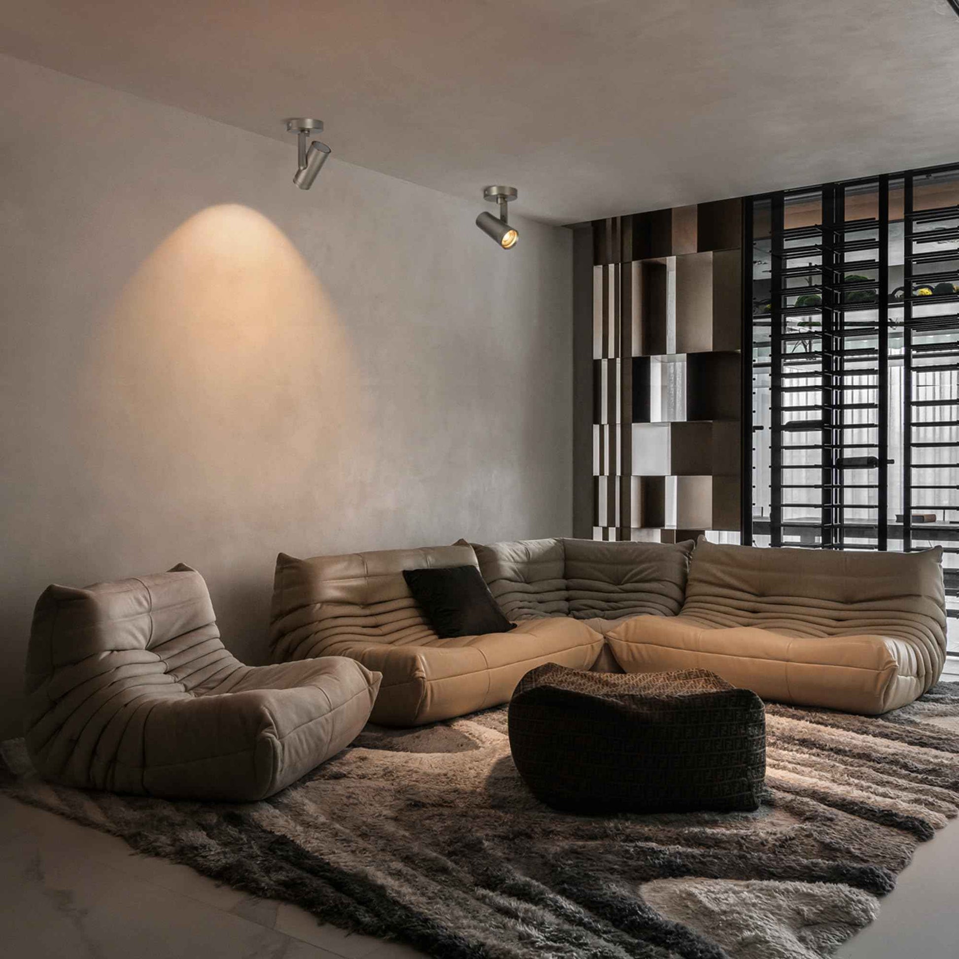 lovuphoria Dimmable Zoomable Spot Lights Indoor Spotlight, 12W Adjustable Angle Ceiling Spotlights for Wall Art Corridor Living Room, Accent Lighting Brushed Nickel Finish - Warm White