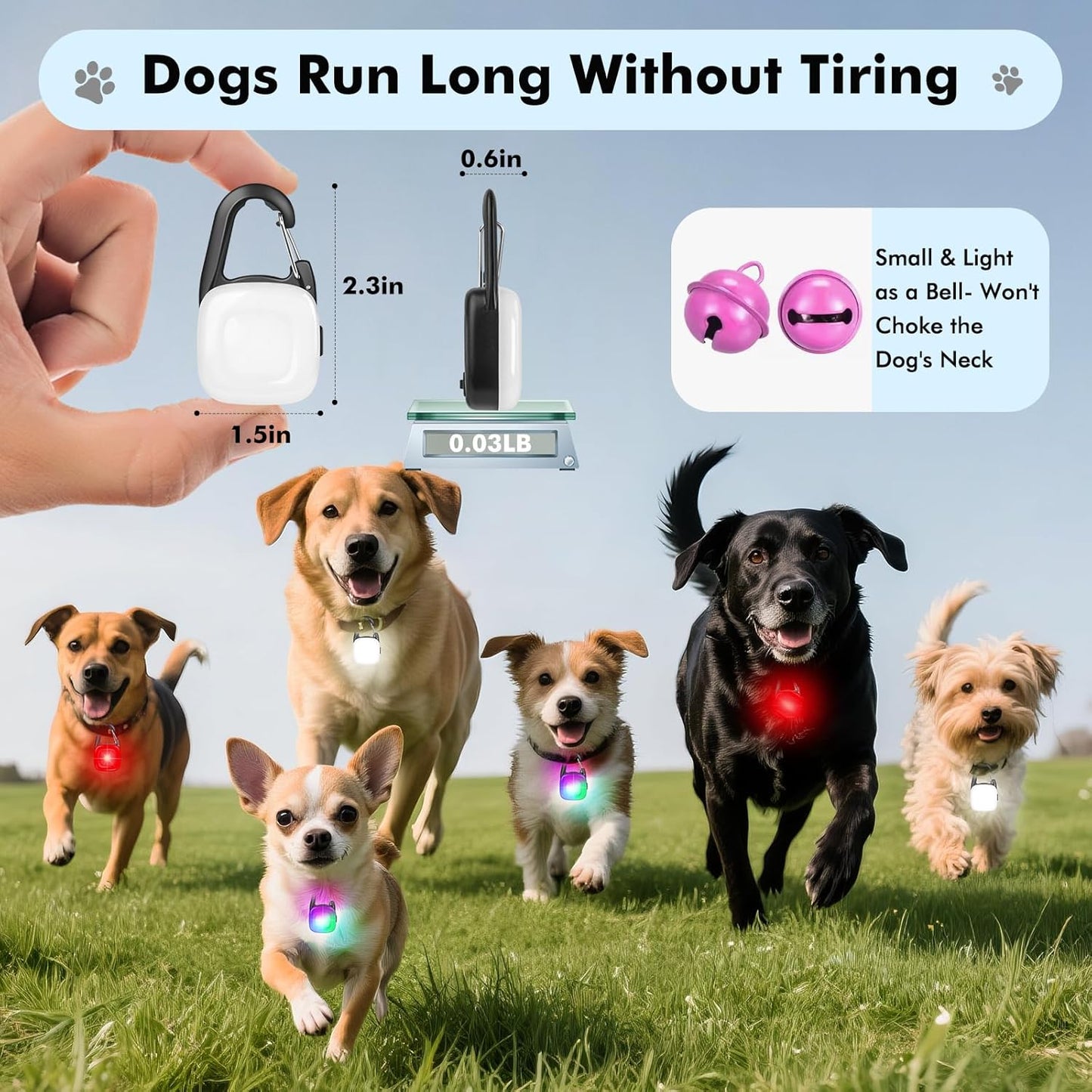 Skiennix LED Dog Collar Lights - Rechargeable Safety Clip-On Lights with 4 Modes | IP68 Waterproof, 2-Pack