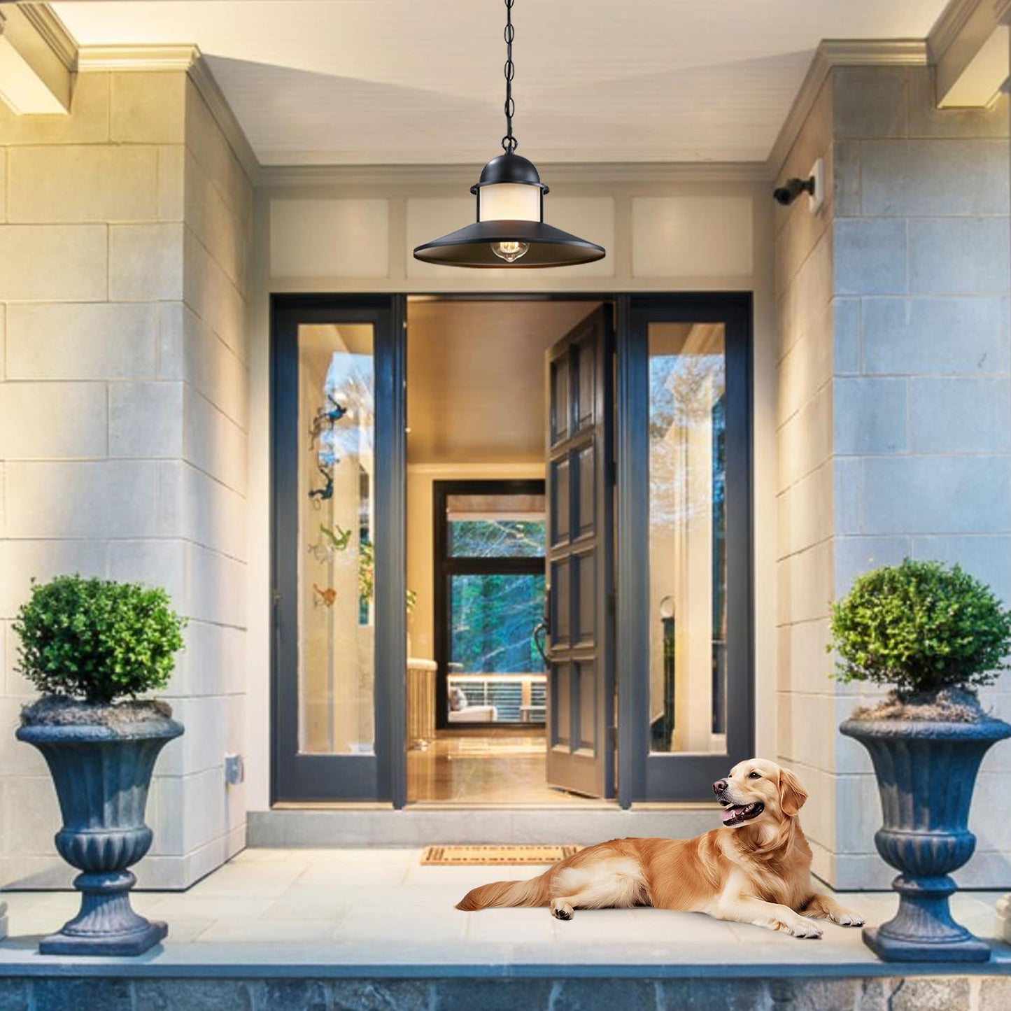 DOCIUEON Outdoor Pendant Light 2 Pack, Modern Outside Chandelier Outdoor Hanging Lantern Light in Matte Black with Frosted Glass, Exterior Pendant Lighting Fixture Ceiling Mount for Porch Patio Gazebo