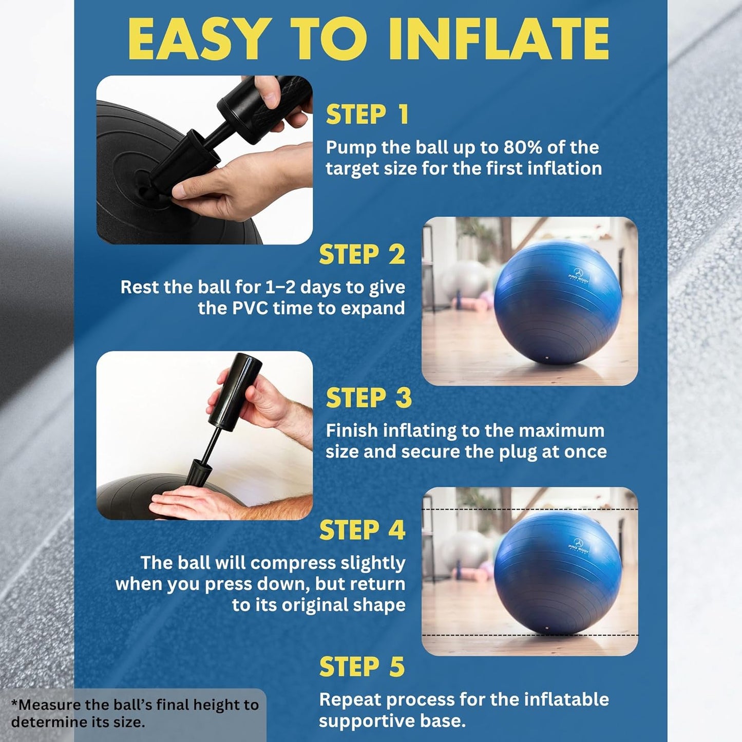 ProBody Pilates Yoga Ball Chair - Exercise Ball with Base for Home Office & Workout | Stability Seat for Back & Abs
