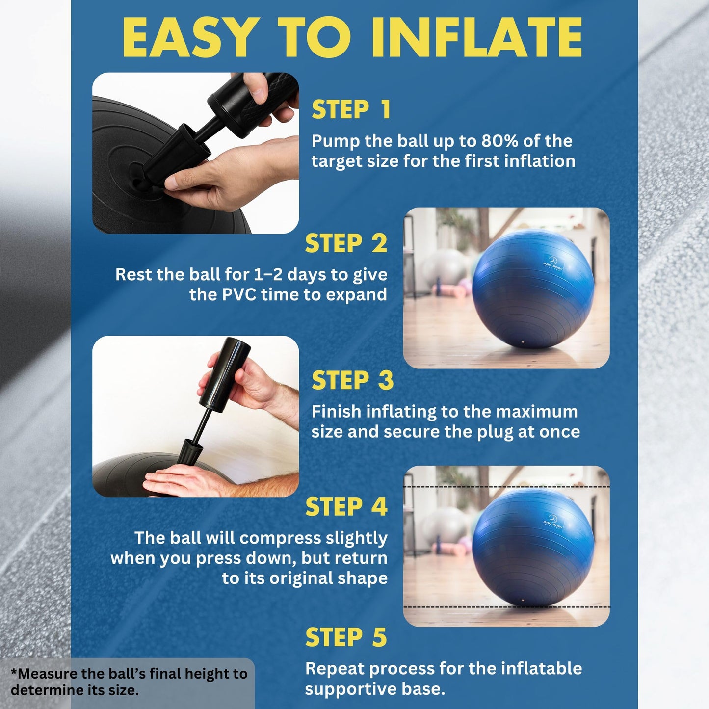 ProBody Pilates Yoga Ball Chair, Exercise Ball Chair with Base or Stand for Home Office Desk Sitting or Workout, 65cm Antiburst Balance & Stability Ball Seat, Large Gym Ball for Back, Abs