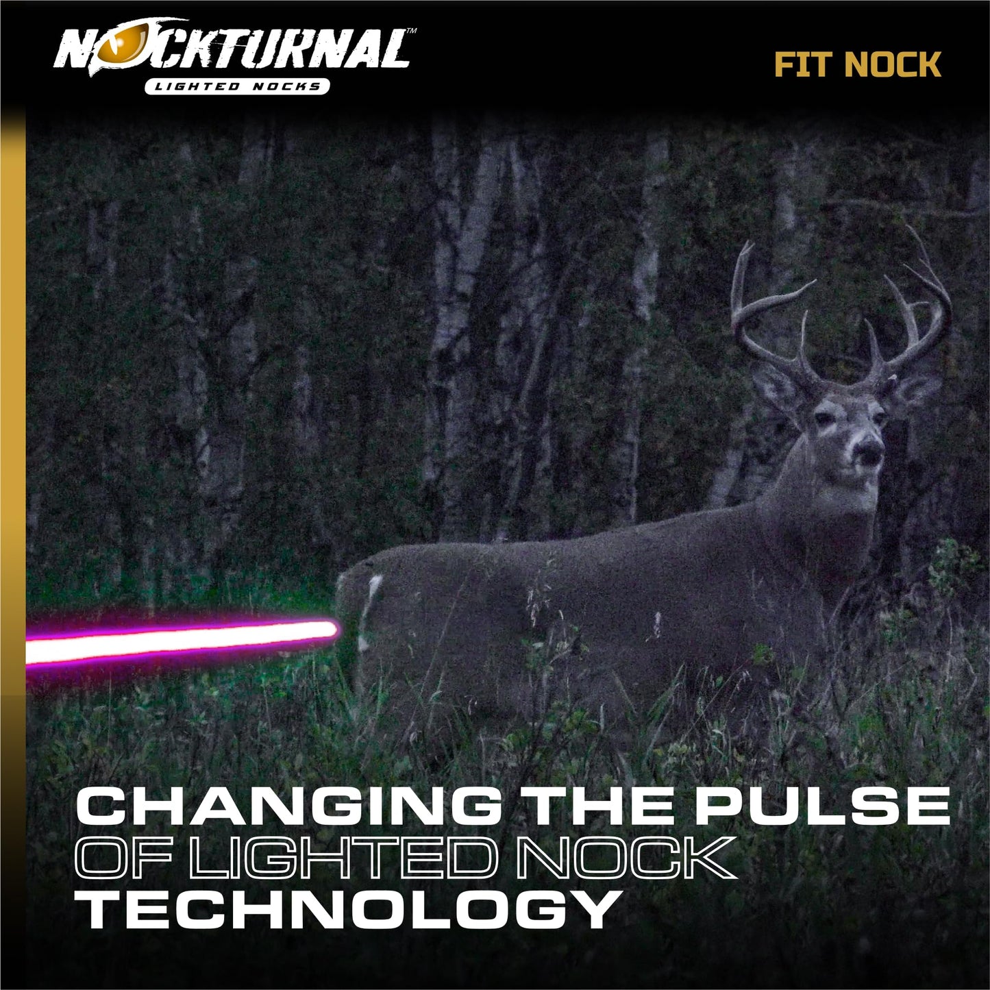 Nockturnal-S Lighted Nock for Arrows with .244 Inside Diameter Including Carbon Tech, Victory, Carbon Impact, Carbon Revolution, Easton, Beman and PSE Brands - Green One Pack, (Model: NT-312)