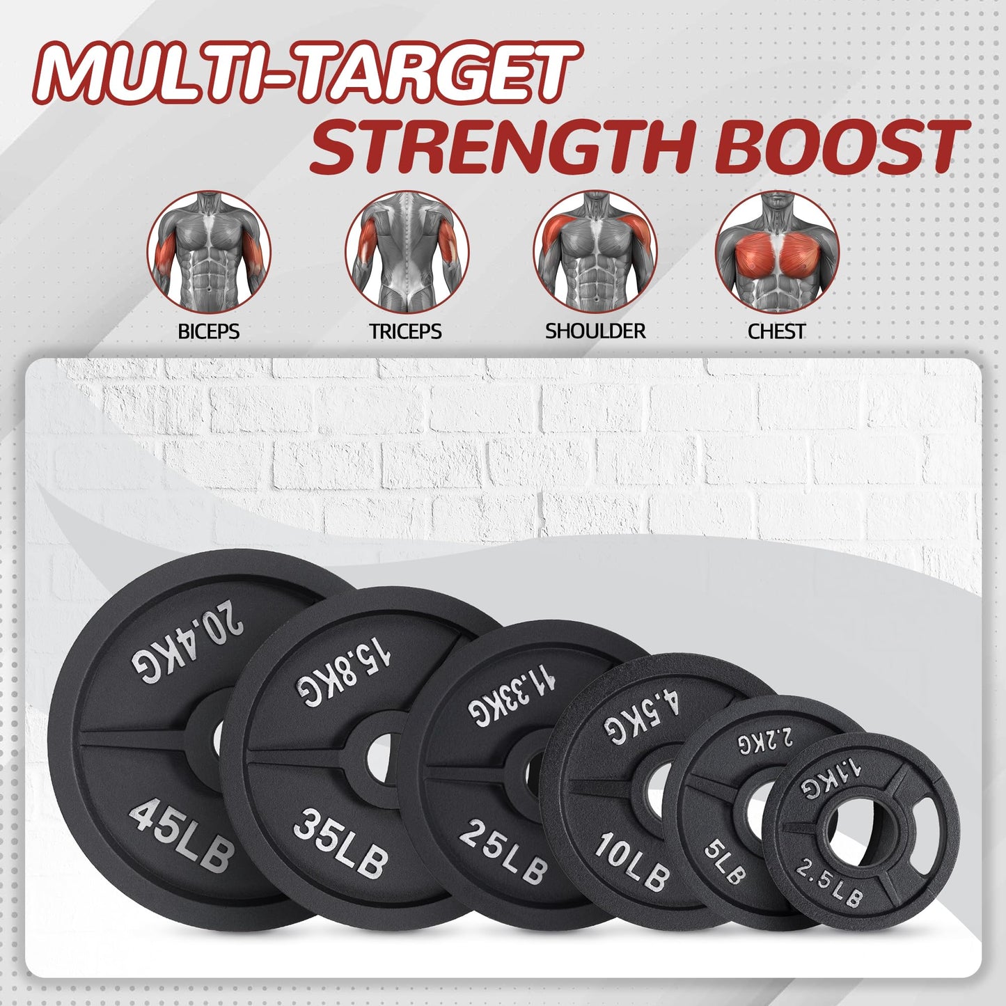 Fitvids Olympic Cast Iron 2-Inch Weight Plate for Strength Training & Weightlifting, 2.5LB Set of 4