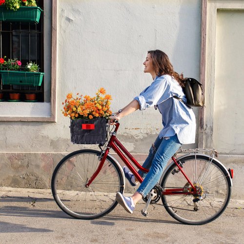 Dog Bike Carrier Basket, Dog Basket for Bike, Lightweight Bicycle Carrier for Small Pets Cats Outdoor Riding,Suitable for Rear/Front of Bicycle - Large Capacity Ebike Accessoriest for Fruit & Grocery