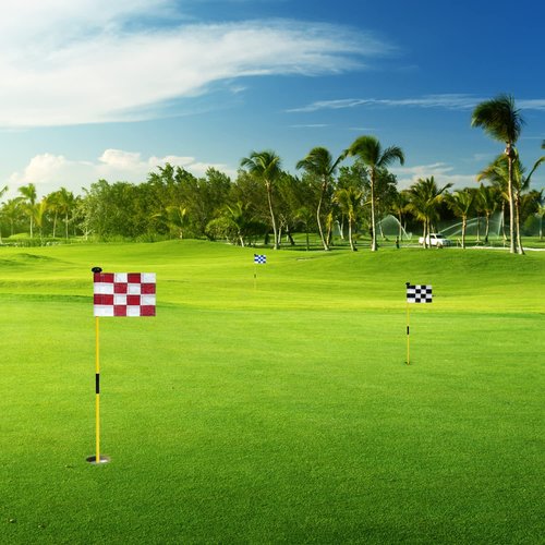 Checkered Golf Flags with Tube Inserted,8” L x 6”H Mini Putting Green Flags for Yard Indoor Outdoor Backyard Garden, 420D Nylon Pin Flag (Blue/White,3sets)