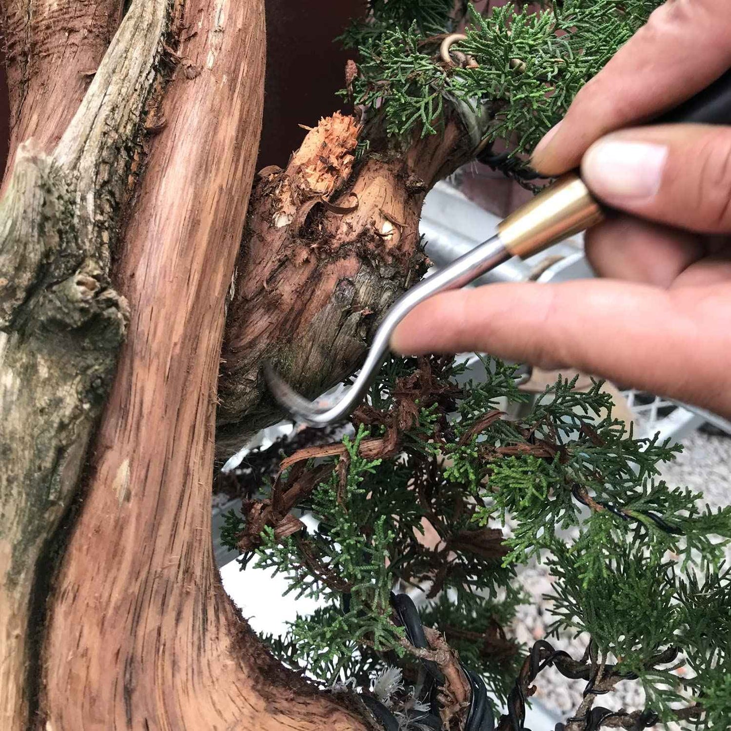 vouiu 5-Piece Bonsai Scraper Bonsai Tool Set