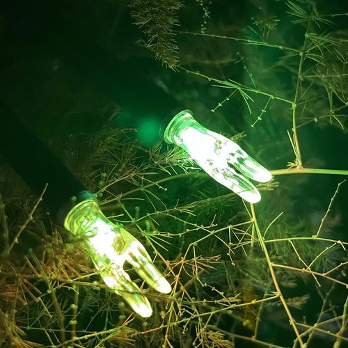 G Lighted Nocks by [Brand Name] - High-Visibility LED Arrow Nocks with ON/OFF Switch | 6/12 Pack, Fits Multiple Diameters