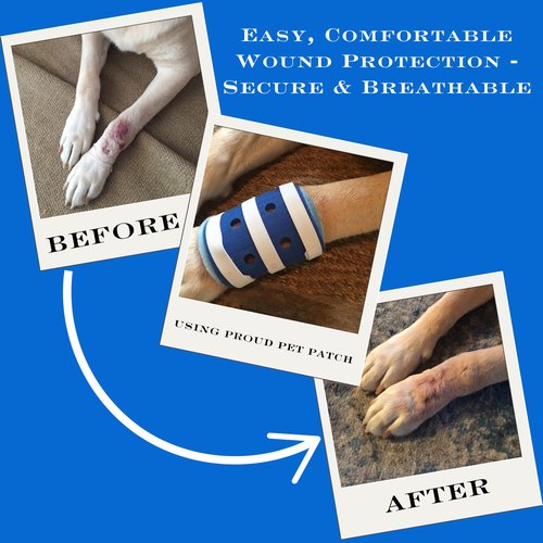 Proud Pet Patches Dog Bandage for Wound Care w/ Peep Hole Cover. Bandages for Dog Hot Spots, Lick Granuloma, Stitches and Wounds. Self Adhesive Wrap Works for Paw, Tail, Legs, Foot for Dogs & Cat