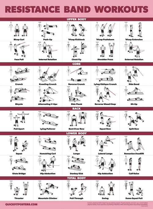 Palace Learning 20 Pack - Exercise Poster Set: Dumbbell, Suspension, Battle Rope, Stretching, Bodyweight, Barbell, Yoga, Exercise Ball - (LAMINATED, 18” x 24”)