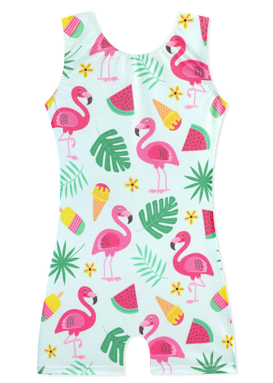 HOZIY Gymnastics Leotards for Girls Size 6-7 Years Aqua Green Pink Flamingo Fruit Ice Cream Tropic Leaf Gymnastic Clothing Clothes Dance Glitter Sparkle Biketard Outfit