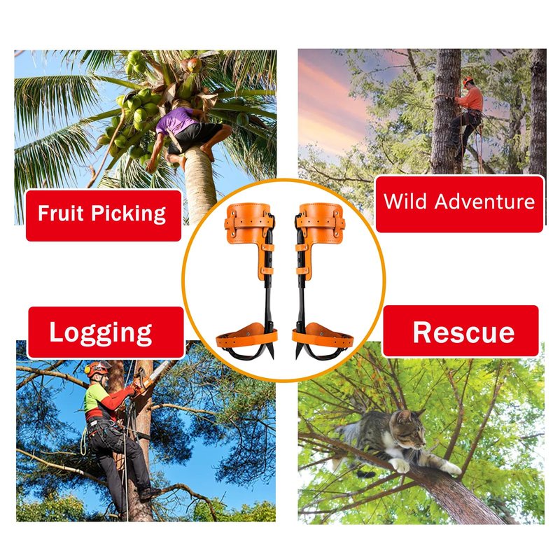 timiland Tree Climbing Spikes Set with Professional Accessories, Adjustable Length Design,Adjustable Climbing Belt and Nylon Umbrella Rope,for Climbing,Picking Fruit and Outdoor Sports(Set D)