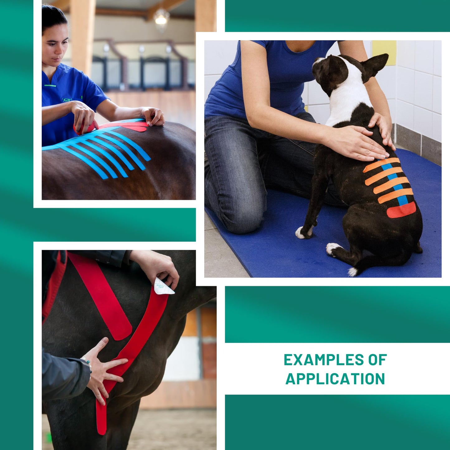 VetkinTape® Veterinary Kinesiology Tape Blue | Kinesiology Tape for Horses & Dogs | Equine & Canine Kinesiotape | Latex Free and Quality Mark Certified Ktape | 4 inch | Pack of 1 Roll