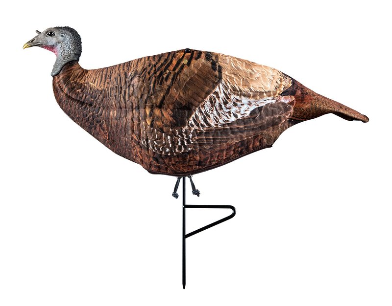 Primos Hunting Photoform Leading Hen Decoy_Turkey Hunting Decoy_69070, One Size
