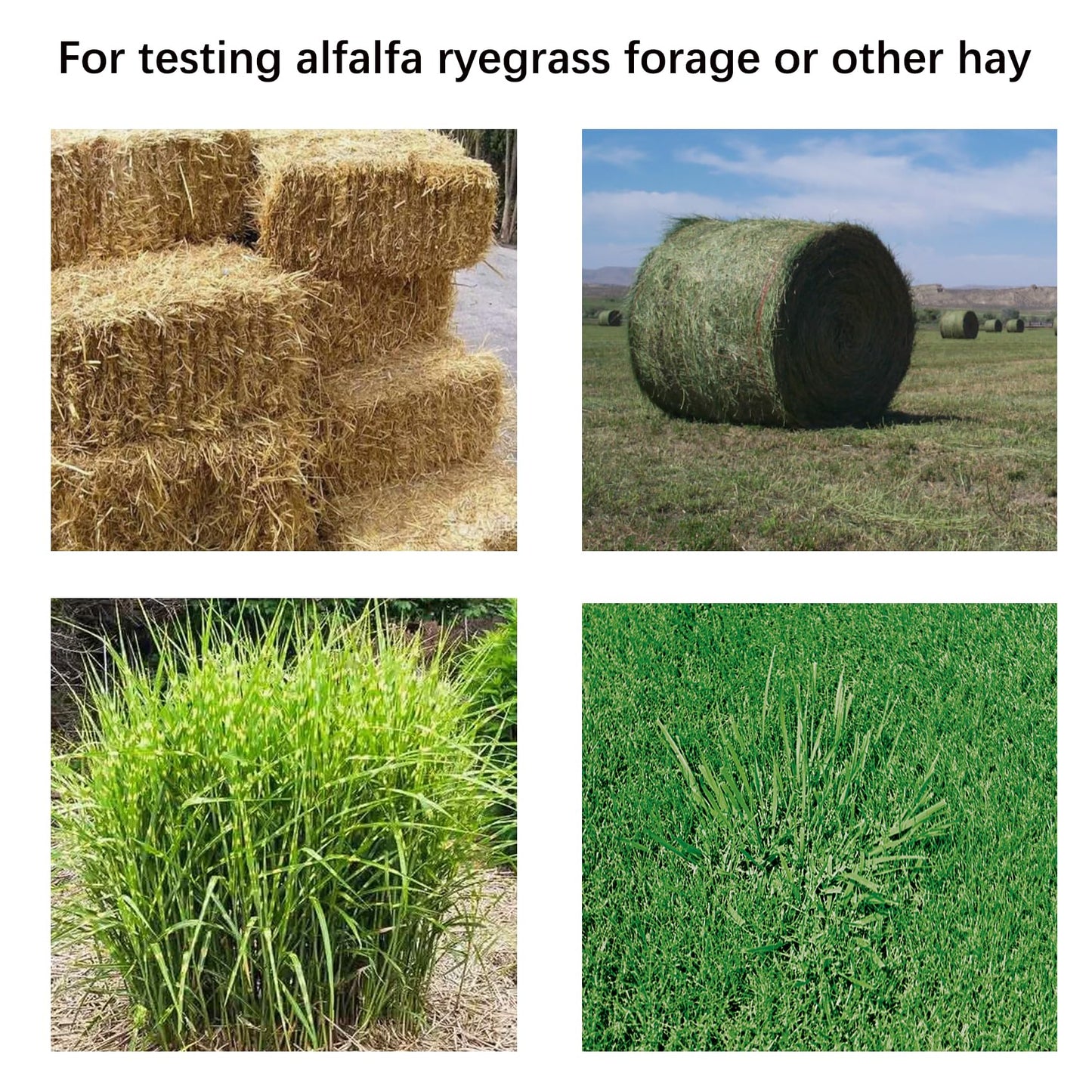 𝐔𝐩𝐠𝐫𝐚𝐝𝐞 TK100H Hay Moisture Tester Probe, Precision Hay Moisture Meter With Long Probe, Easy Measurement of Hay, Hay Moisture Meter, Preventing Spoilage And Mold, 5 Years Warranty