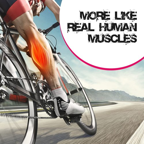 Human Body Muscle Replica Model - 1 lb to Keep Fit & Fitness Encouragement for Fitness Enthusiast, Nutritionist, Athlete