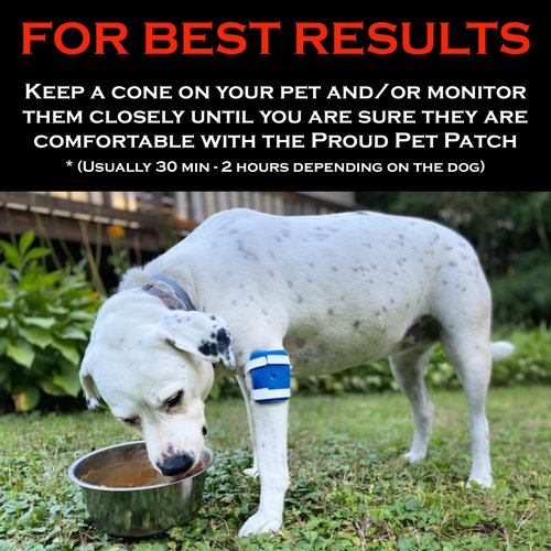 Proud Pet Patches Dog Bandage for Wound Care w/ Peep Hole Cover. Bandages for Dog Hot Spots, Lick Granuloma, Stitches and Wounds. Self Adhesive Wrap Works for Paw, Tail, Legs, Foot for Dogs & Cat