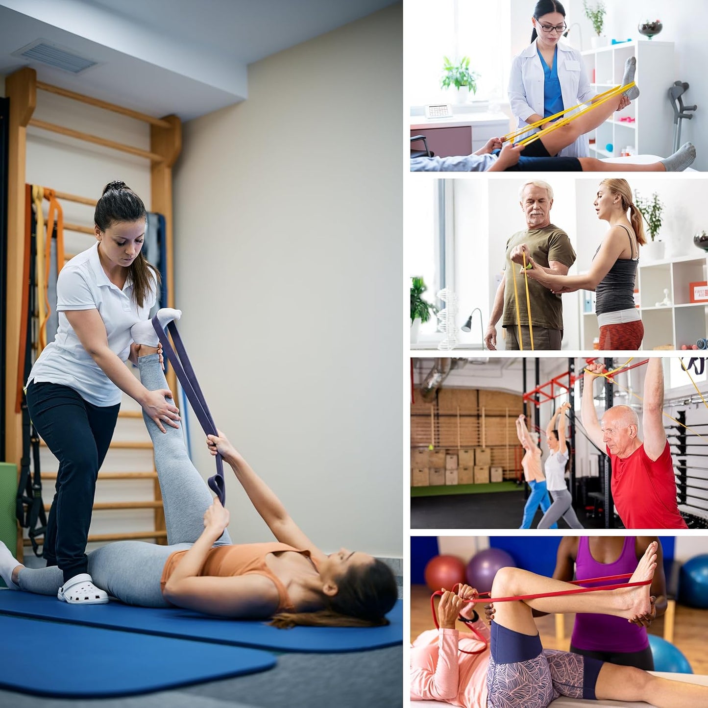 Skiennix Resistance Bands - Versatile Workout Bands Set for Full Body Training | Ideal for Home Workouts & Physical Therapy