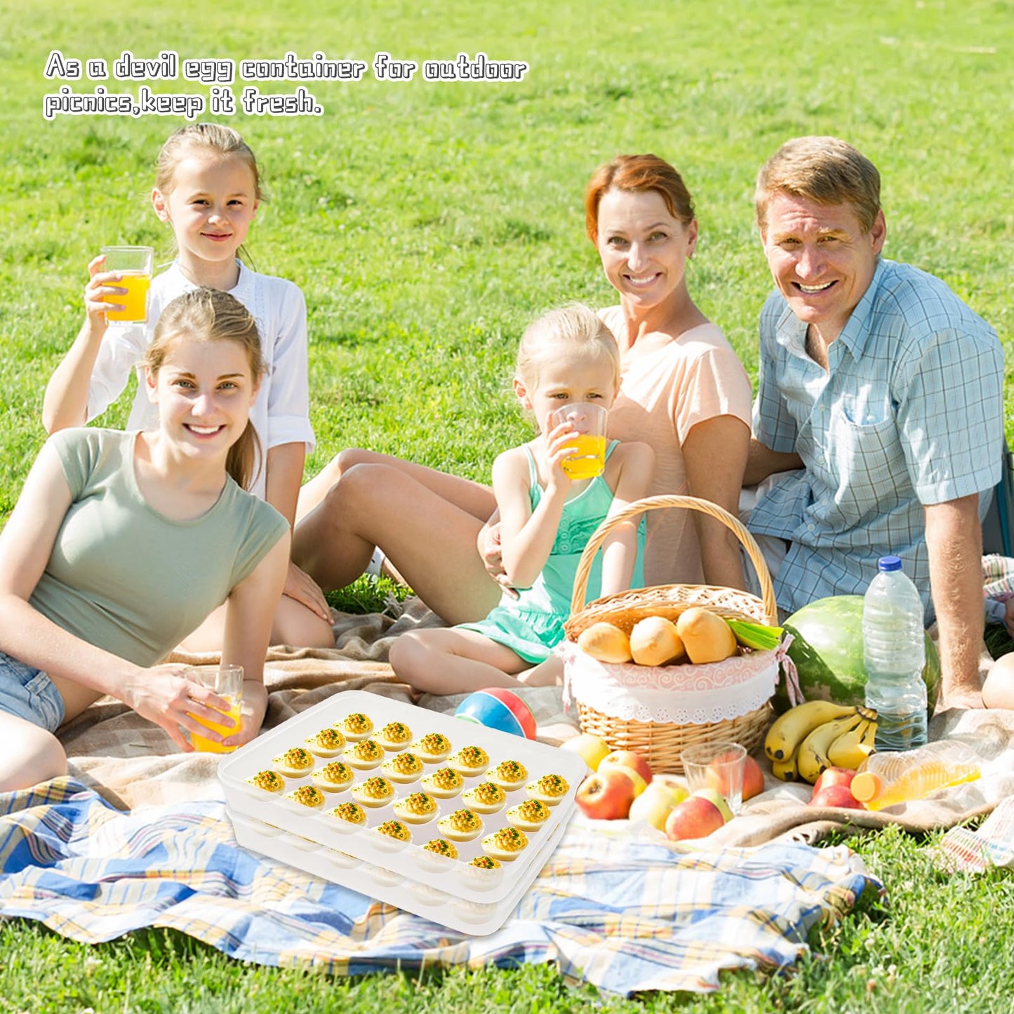 Deviled Egg Containers with Lid, (Set of 2),Stackable Plastic Egg Holder for 48 Eggs,Clear Egg Storage Holder for Fridge,Keep Fresh,Easter,Thanksgiving Party Kitchen Supplies