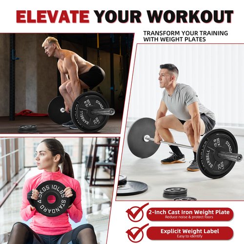 【10LB Two-Pair Set】2" Cast Iron Weight Plates | (4 x 10LB) Black Plates with Silver Numbers | Fits Standard Dumbbell Handles & Barbells