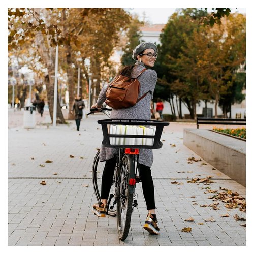WCYQONOO Large Rear Bike Basket with Cargo Net, Liner & Waterproof Cover - Heavy Duty Rack for Carry Groceries, Balls, Pet Dogs on Bicycle & E-Bikes,Travel and Commuting Use,Capacity: 30 Liter