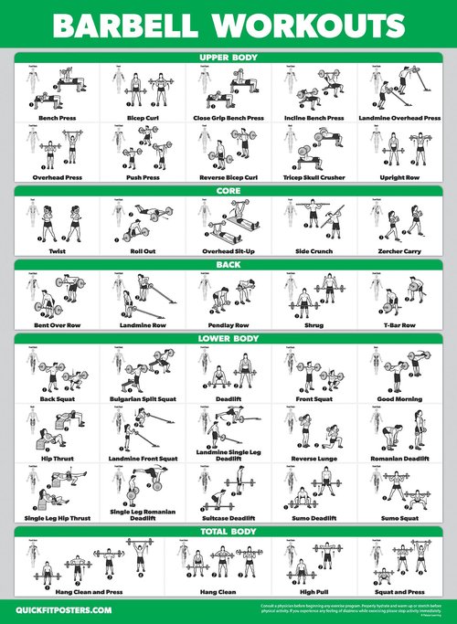 4 Pack - Cable Machine Workout Posters Volume 1 & 2 + Dumbbell Exercises + Barbell Exercises (LAMINATED, 18" x 24")
