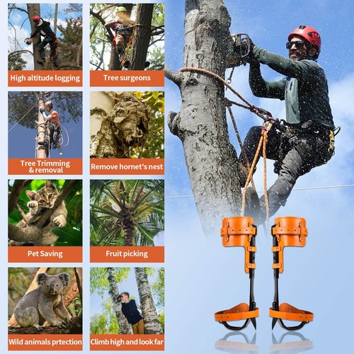 Rohseson Tree Climbing Gear, Cowhide Leather Tree Climbing Spikes Set, Height-Adjustable Tree Climbing Spurs for Tree Work, Tree Trimming, Tree Cutting, Logging, Hunting, Picking Fruit, (Pink)