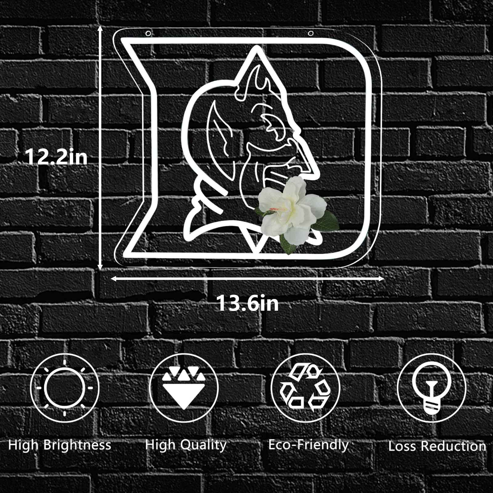 HUIKWAN University Team Logo Neon Sign，Neon Light LED Sign for Sports Fans Gifts USB Powered Neon Wall Sign Dimmable for Man Cave Sports Studio Wall Art