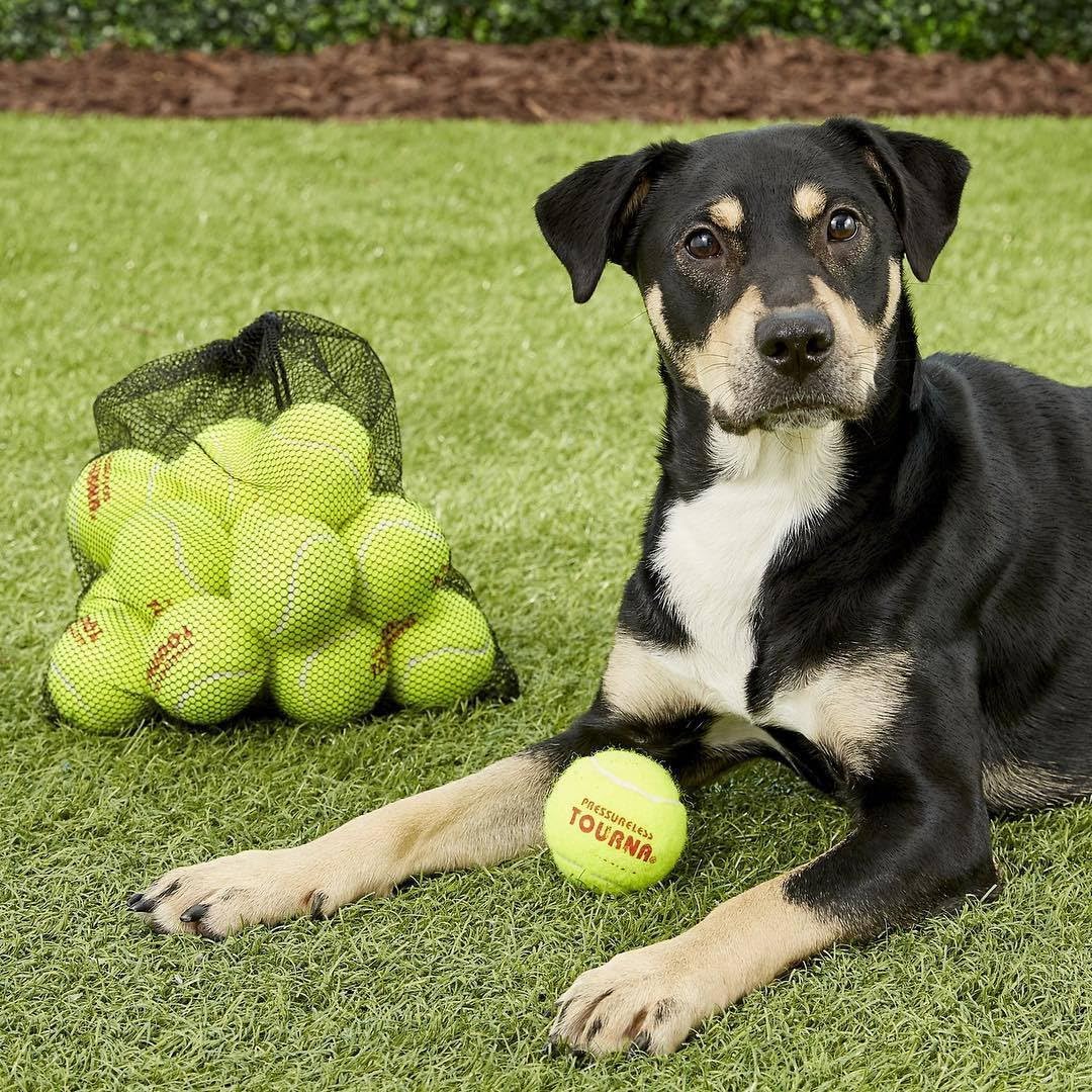 Tourna Tennis Ball Carry Bag - Holds 18 Balls | Durable Mesh Design for Easy Transport