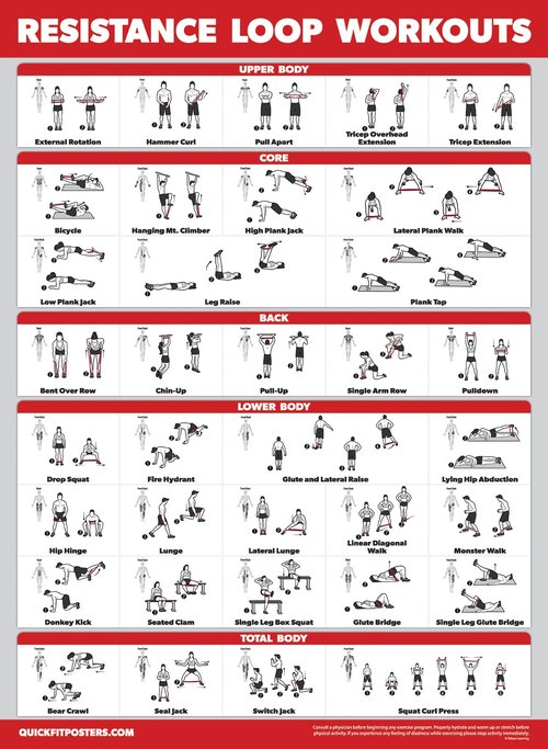 Palace Learning 4 Pack - Dumbbell Workouts + Bodyweight Workouts + Stretching Exercises + Resistance Loops - Set of 4 Workout Charts (18” x 24”, LAMINATED)