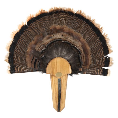 Allen Company EZ Mount Exhibition Turkey Fan & Beard Mounting Kit