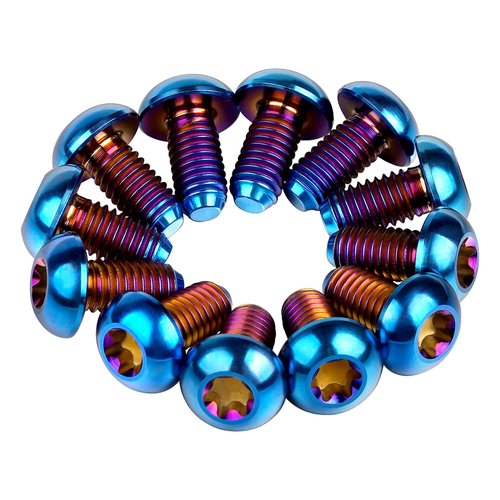Wanyifa 12Pcs Ti Titanium Bolts Torx M5x10 Bicycle Bike Disc Brake Cycle Rotor Screws Gr5 (Burnt Blue)