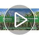 Natural Raw Pulp 50 Pack 14-Inch Heavy Duty Compostable Sugarcane Trays