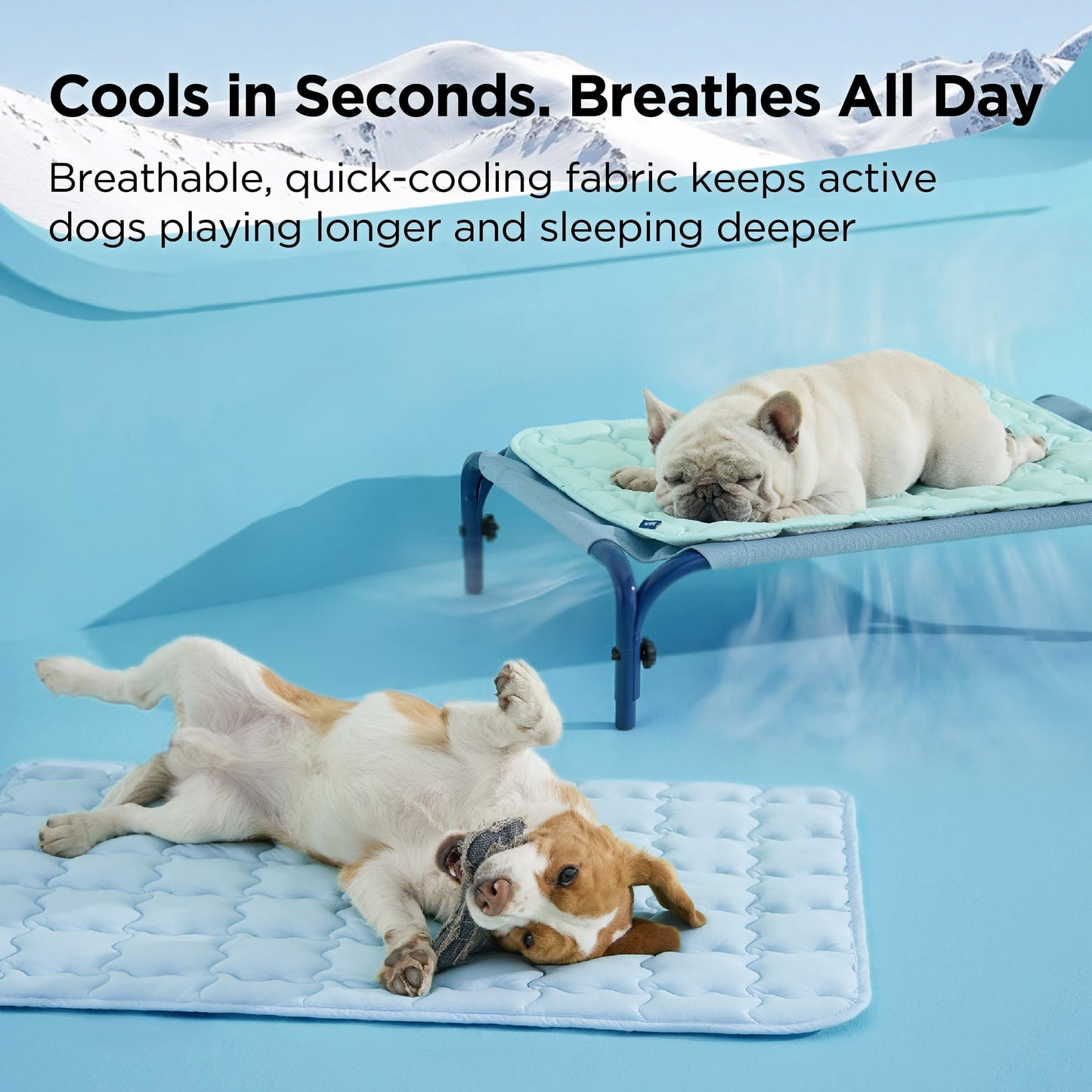 Bedsure Cooling Dog Mat Extra Large, Q-Max>0.5 XL Thin Breathable Cold Crate Pad for Pet, Portable Washable Kennel Bed for Summer Active Dog with Chill Soothing Fabric to Rapid Cooling,41x28, Green