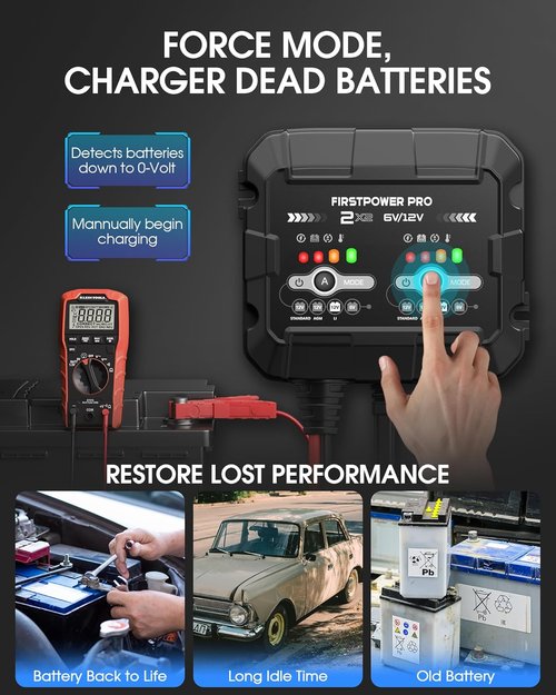 2-Bank Trickle Charger by [Brand Name] | 12V & 6V Automotive Battery Maintainer for Cars, Motorcycles & Lawn Mowers